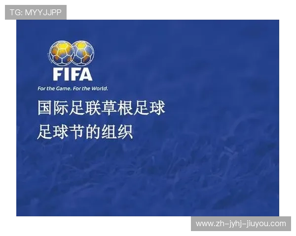 非营利性足球组织免税资格认定标准与监管体系重构