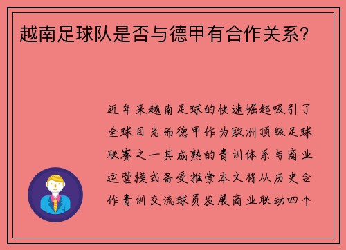 越南足球队是否与德甲有合作关系？